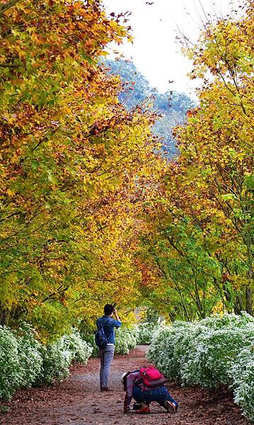 驚艷黃楓白雪在沐心泉027.jpg