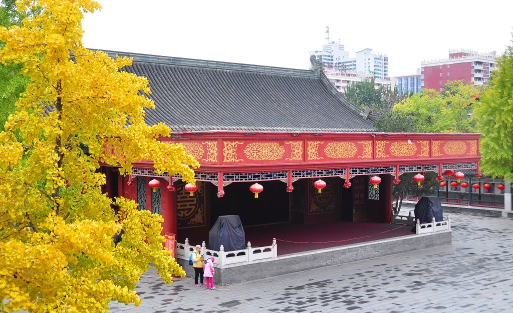 2015北京大觀院銀杏013.jpg 2015北京大觀院銀杏013.jpg