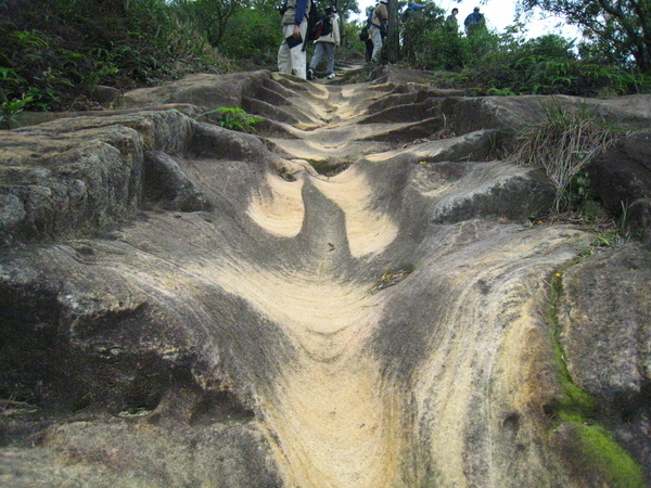 19-2越野摩托車的車痕遺跡 