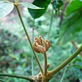 11-02基隆情人湖~江某 