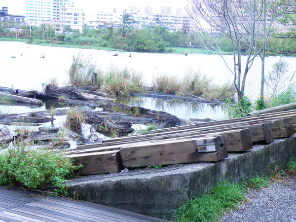 21-20羅東林場林業博物館儲木池 