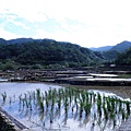 03-02 草嶺古道遠望坑梯田 