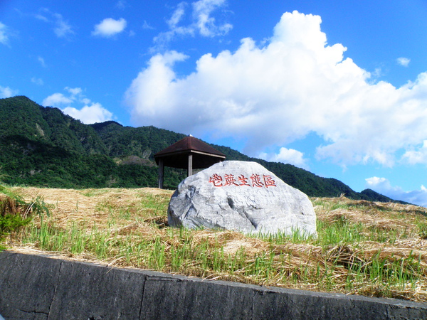 01-03花蓮羅山村泥火山.JPG