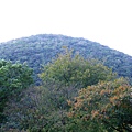 01-01紗帽山.JPG