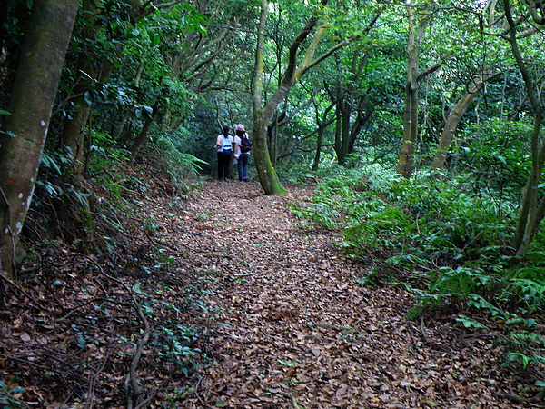 17-01坑子村步道.JPG