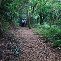 17-01坑子村步道.JPG