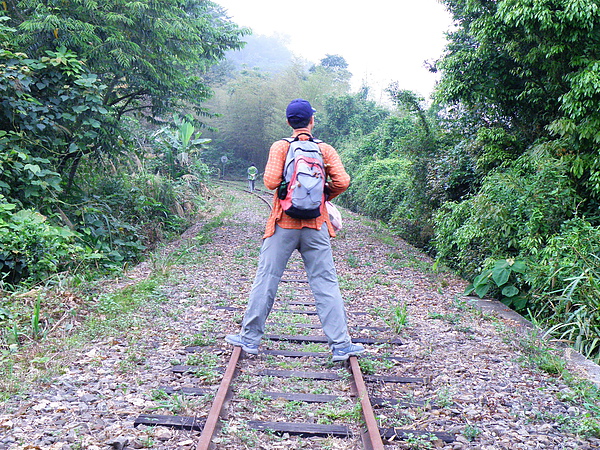 26-01阿里山交力坪鐵道.JPG