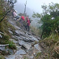 爬上登山口後 就是ㄧ路陡上