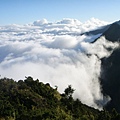 有個小人影 撐著雨傘爬山呢> <