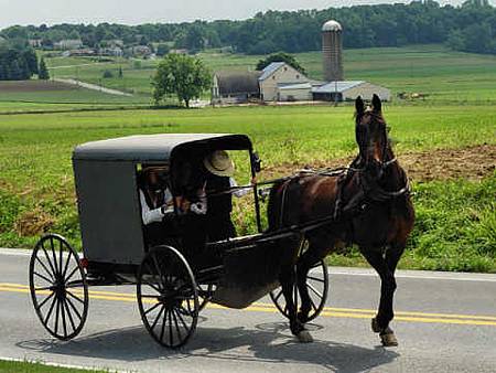 amish2