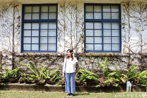 日月老茶廠 (2).jpg