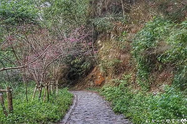 觀音橋%26;觀音瀑布 (4).jpg