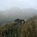 IMG_7858.JPG