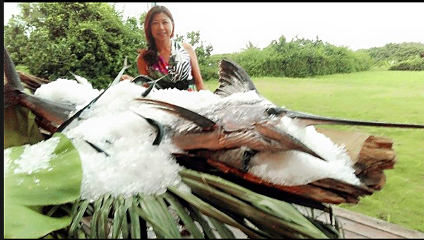 螢幕快照 2015-06-17 下午4.53.10