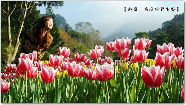 SAM_0085+拷貝.jpg SAM_0085+拷貝.jpg