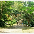 DSCF0172.jpg