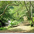 DSCF0175.JPG