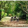 DSCF0177.jpg