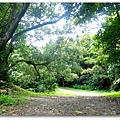 DSCF0182.jpg
