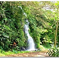 DSCF0241.JPG