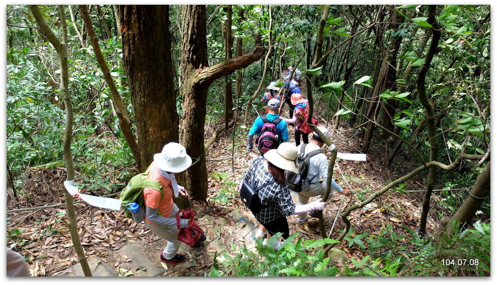 新北林口 新林步道、竹林山觀音寺  