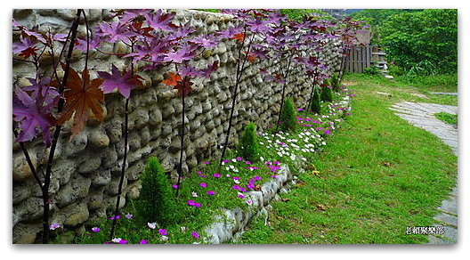 新北新莊 青年公園