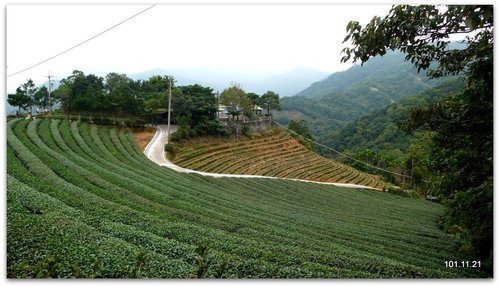 新北石碇 永安景觀步道