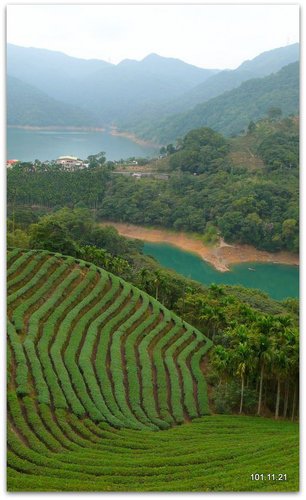 新北石碇 永安景觀步道