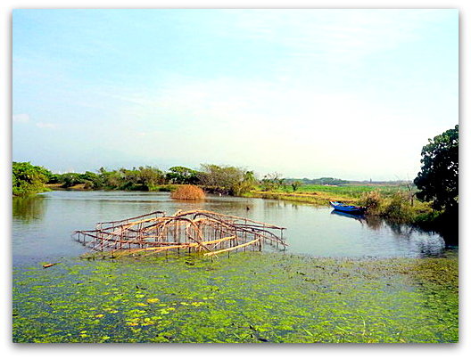 新北關渡 自然公園