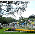 DSCF0556.JPG