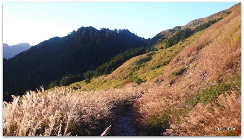 南投仁愛 合歡山北峰