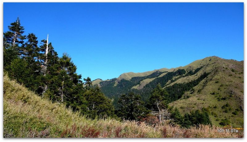 南投仁愛 合歡山北峰