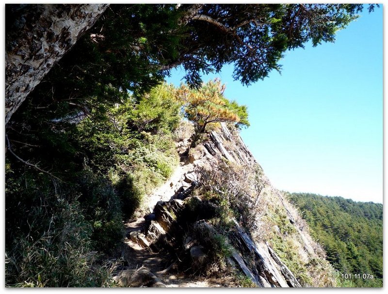 南投仁愛 合歡山北峰