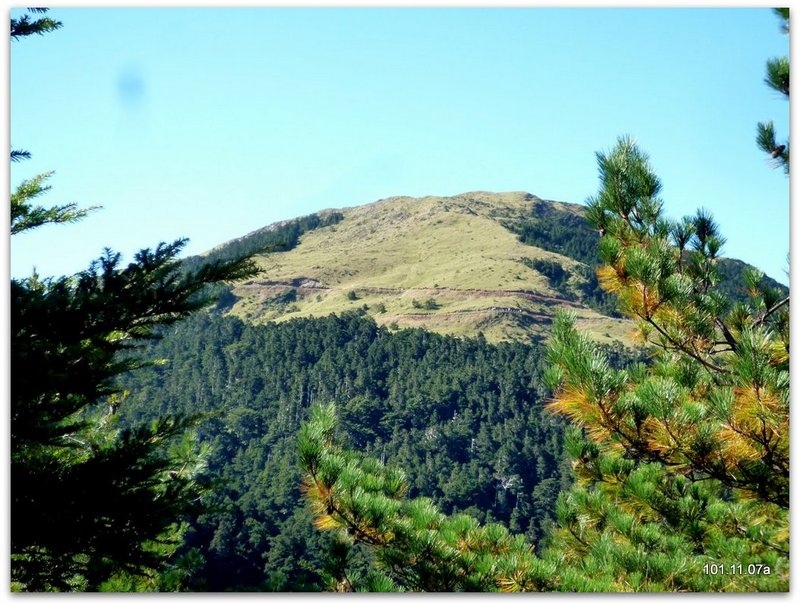 南投仁愛 合歡山北峰