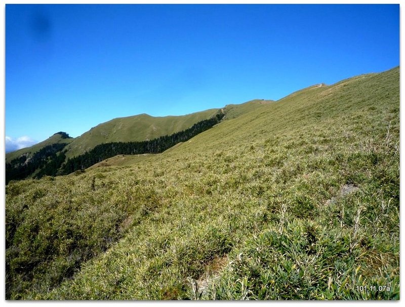 南投仁愛 合歡山北峰