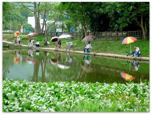 台北南港 公園、麗山橋步道