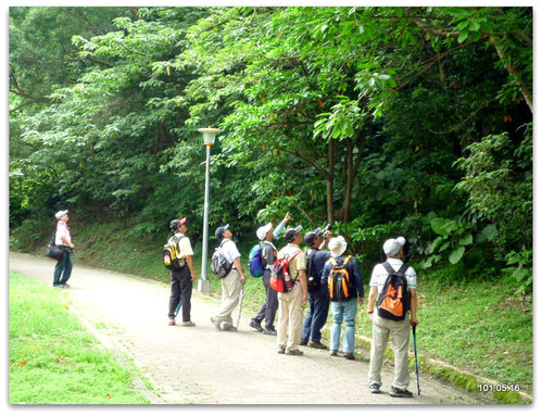 台北南港 公園、麗山橋步道