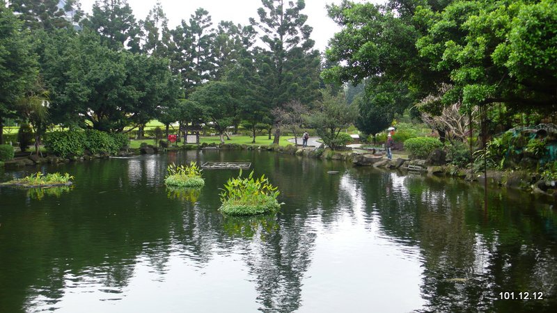 中正堂 植物園