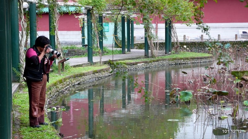 中正堂 植物園