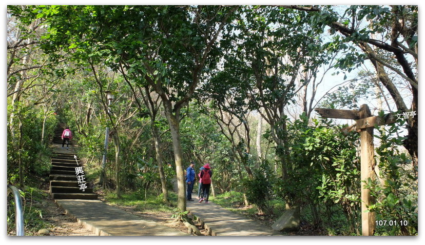 新北 新莊 青年公園、林蔭&牡丹心步道→林口  