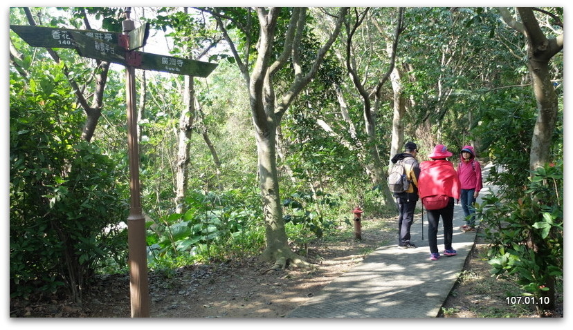 新北 新莊 青年公園、林蔭&牡丹心步道→林口  