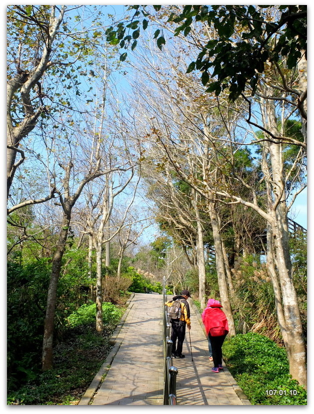 新北 新莊 青年公園、林蔭&牡丹心步道→林口  