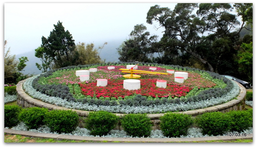 陽明山花季 賞花半日遊  (+40砲陣地)