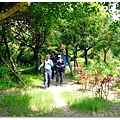 DSCF2038.JPG