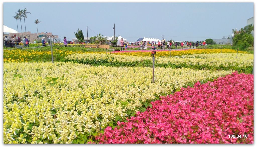 桃園一日遊- - -彩色海芋季+青塘園