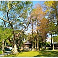 IMG_20200115_135656.jpg