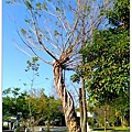 IMG_20200115_144256.jpg