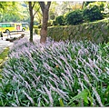 IMG_20200923_142157.jpg