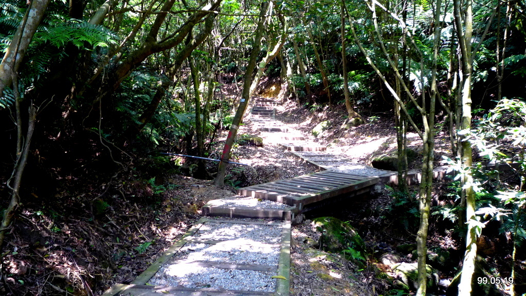 士林 大崙頭山長壽坡