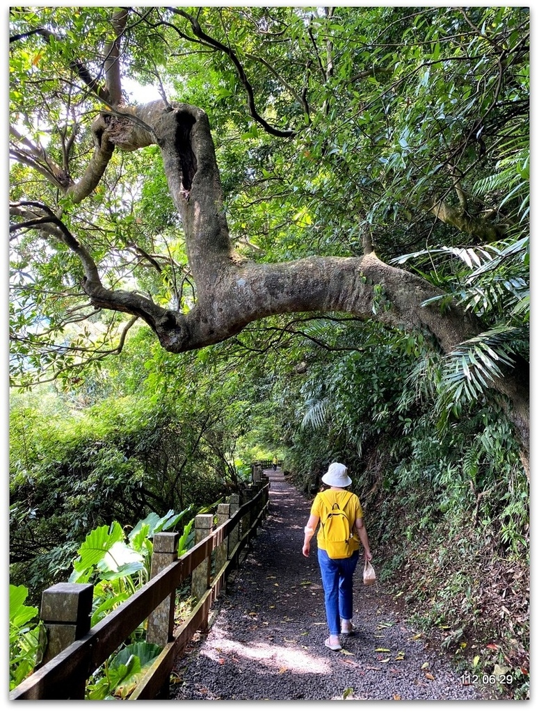 台北 天母古道之親山廊道